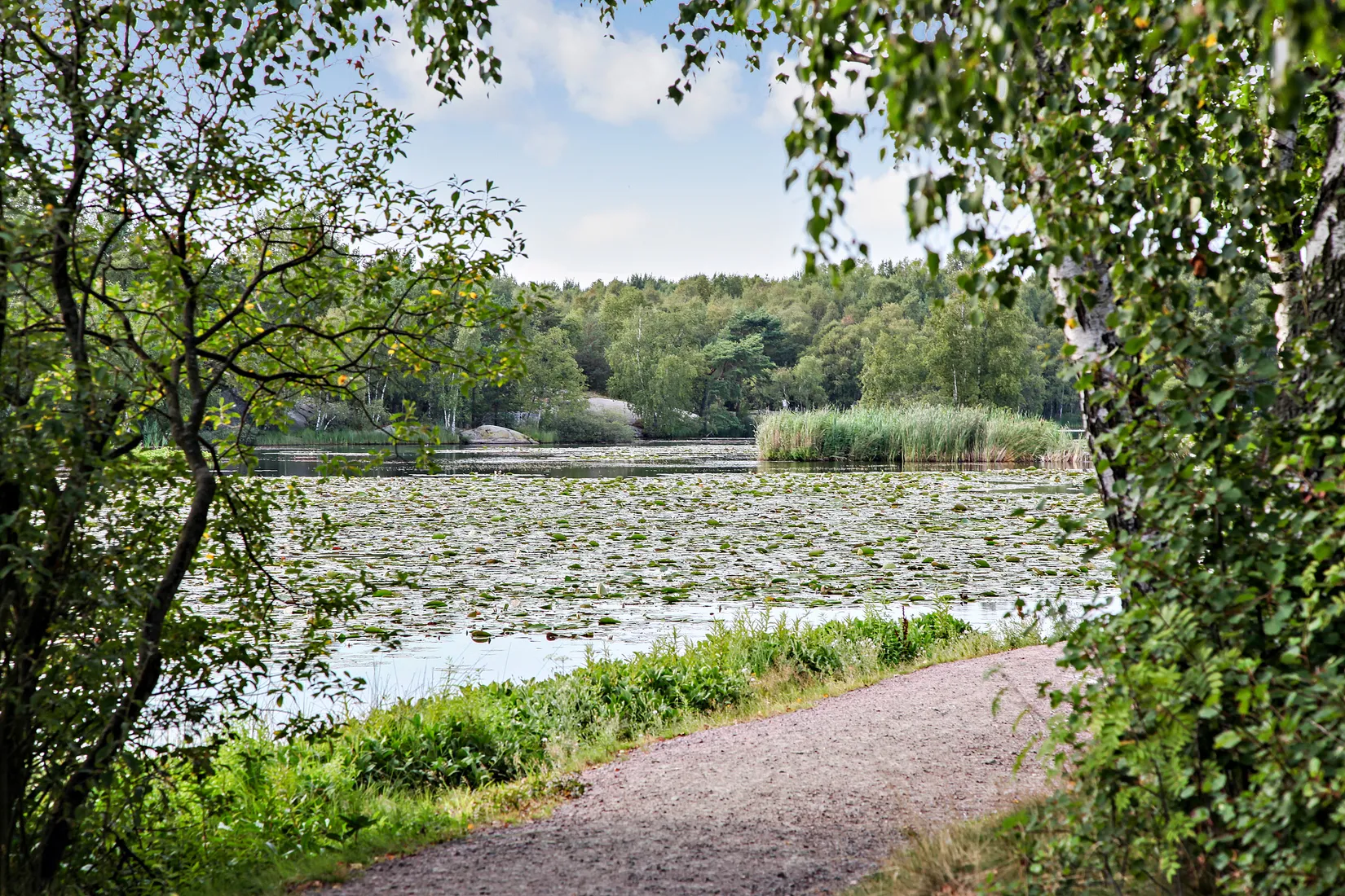 Bostadsrätt, Blåsvädersgatan 12, Biskopsgården, Göteborg