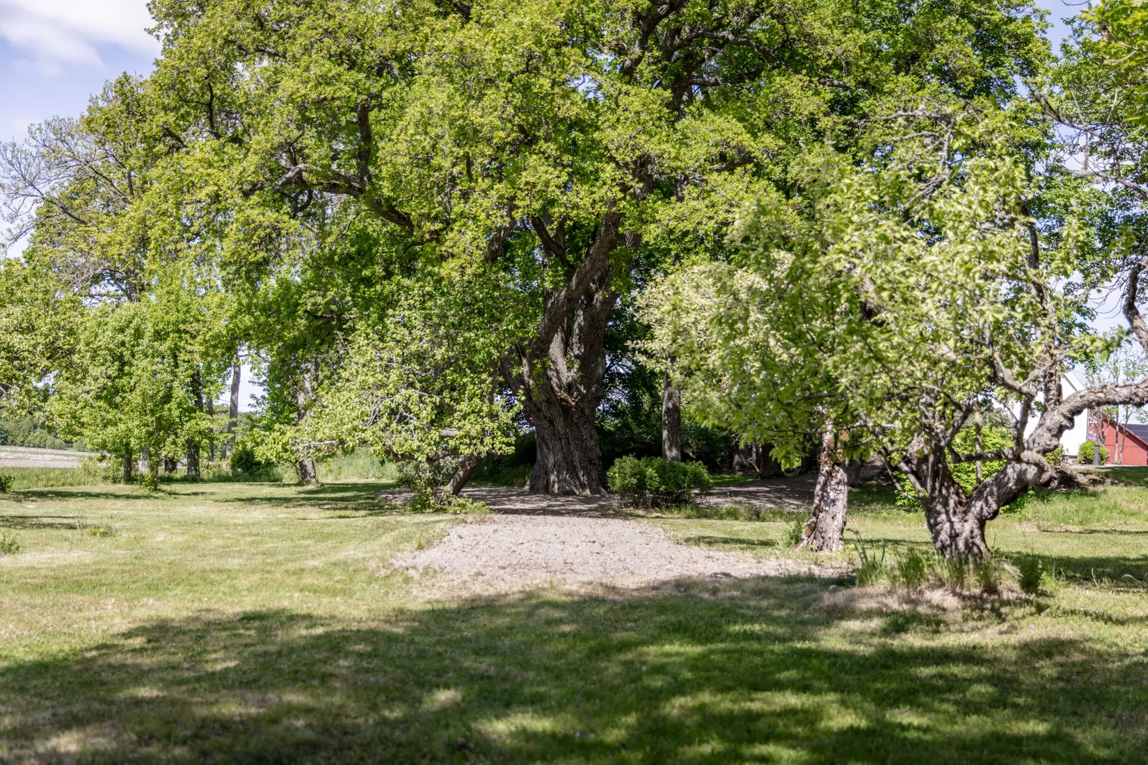Gård/Skog, Hubbo Näs 1, Näs, Västerås