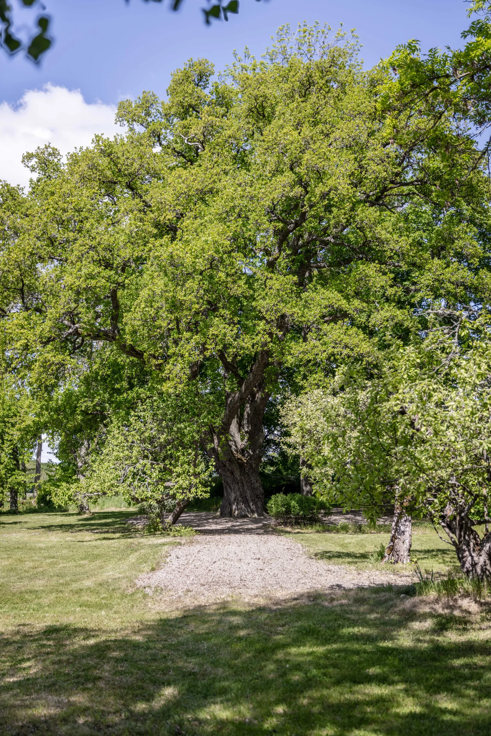 Gård/Skog, Hubbo Näs 1, Näs, Västerås