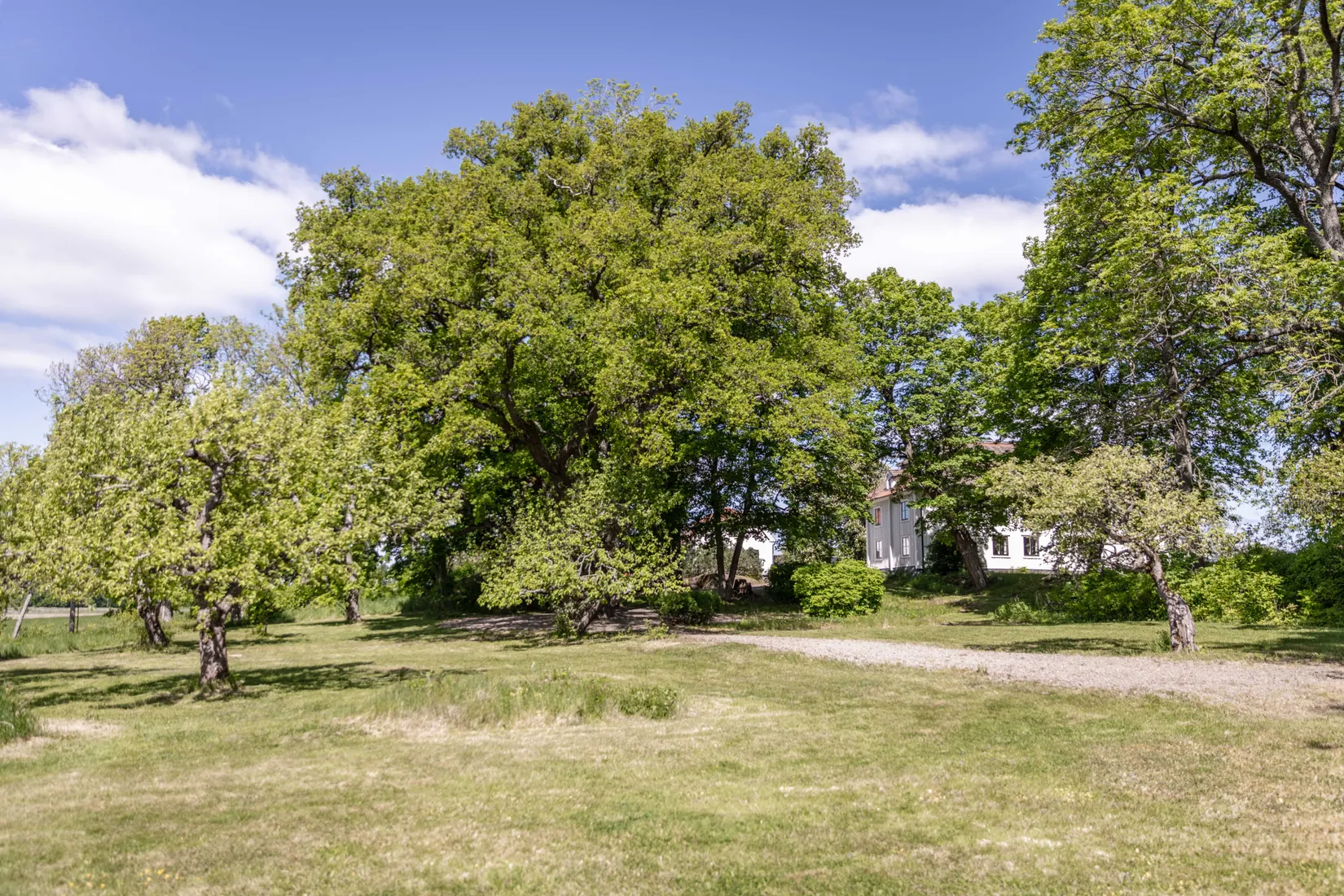 Gård/Skog, Hubbo Näs 1, Näs, Västerås