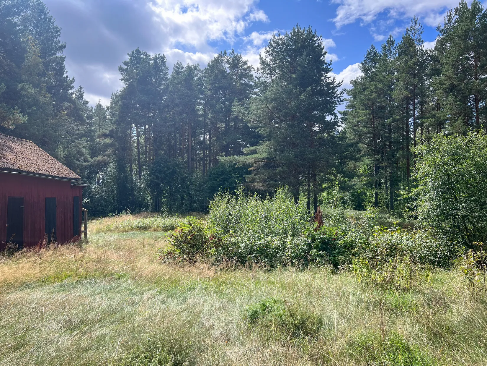 Villa, Övre Bornvägen 60, Born, Orsa