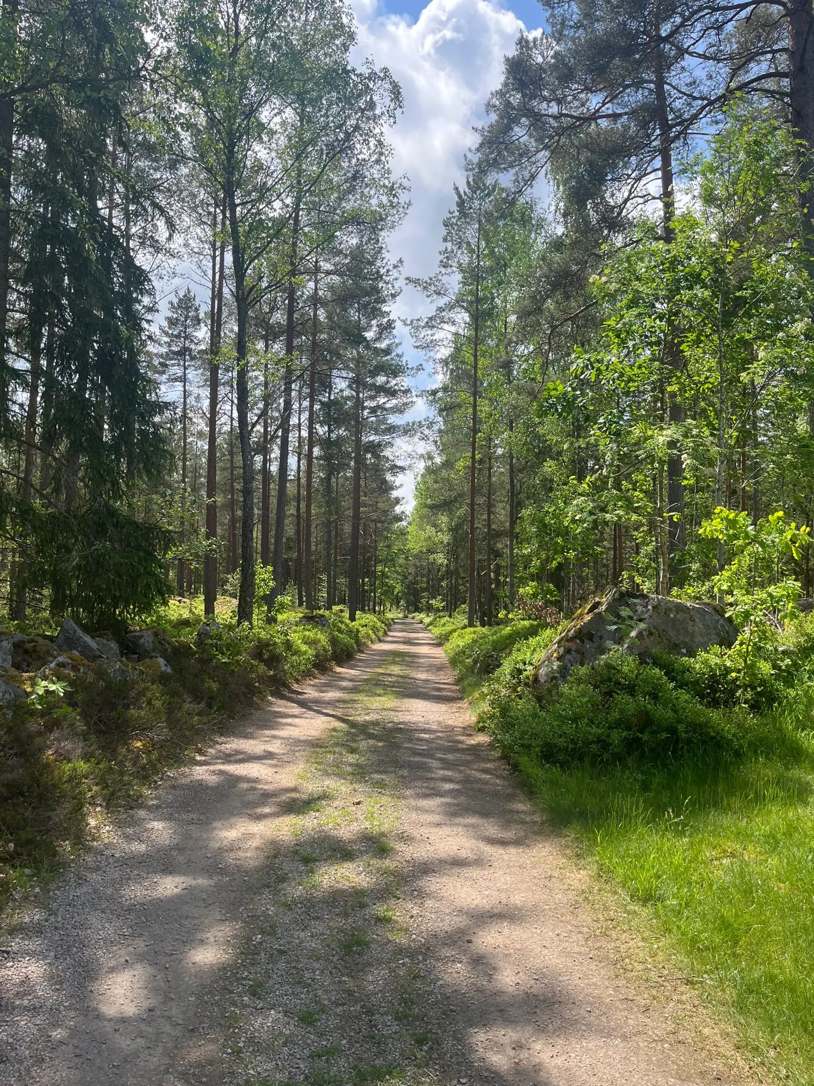 Villa, Dångebo Knalladal, Tingsryd