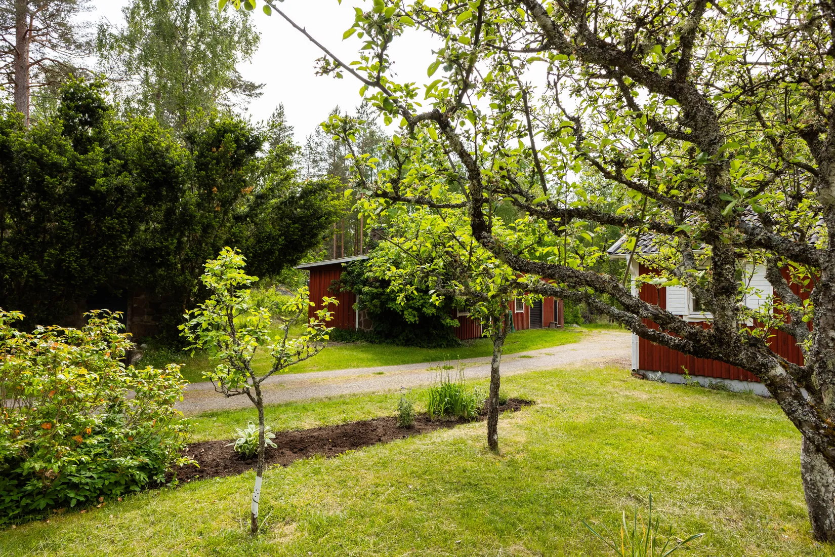 Villa, Dångebo Knalladal, Tingsryd
