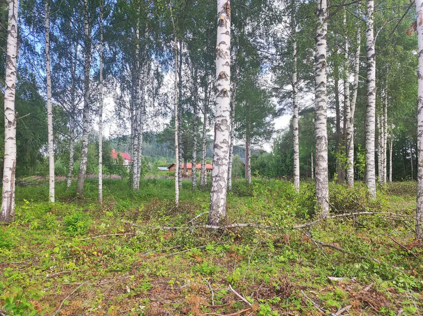Villa, Krokvåg Mohemsvägen 141, Jämtland, Ragunda