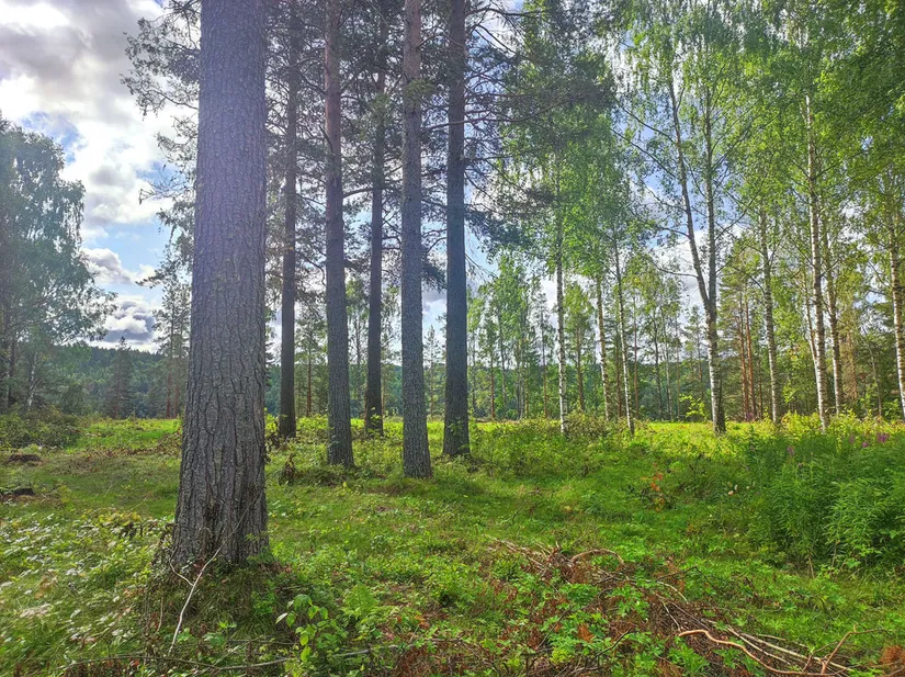 Villa, Krokvåg Mohemsvägen 141, Jämtland, Ragunda