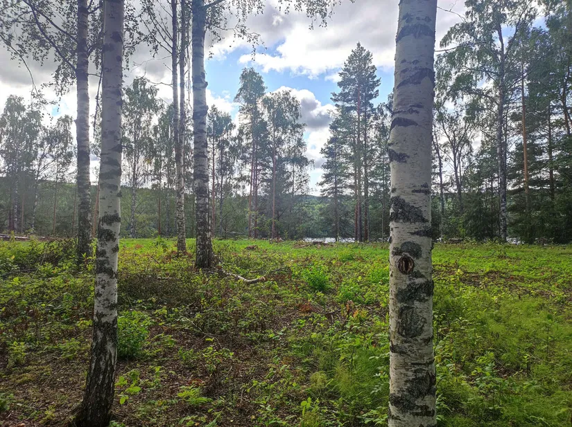 Villa, Krokvåg Mohemsvägen 141, Jämtland, Ragunda