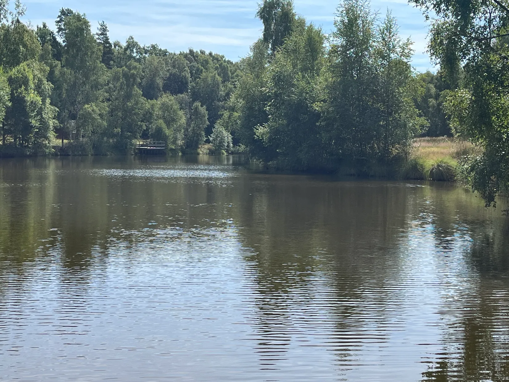 Fritidshus, Sjöberga 600, Nya Sjöberga, Hässleholm