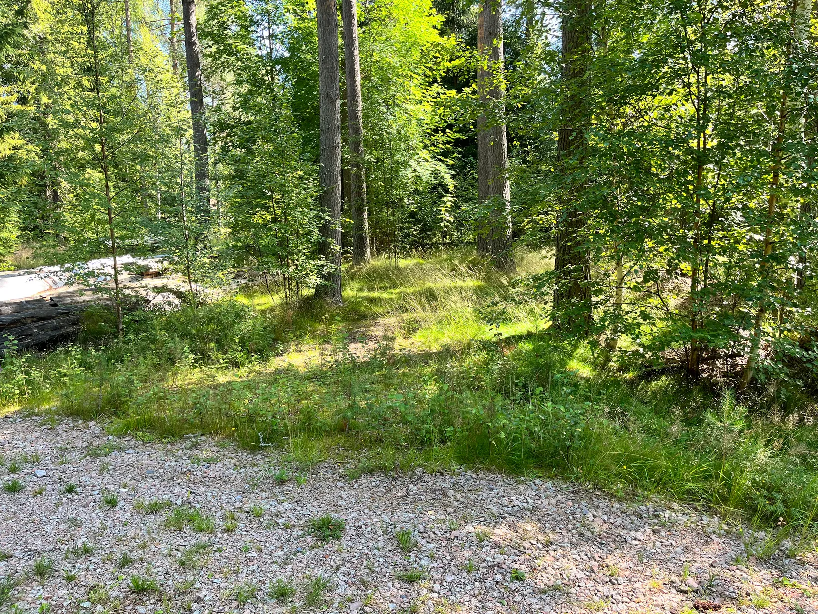 Tomt, Äbbsäl, Ryssa, Mora