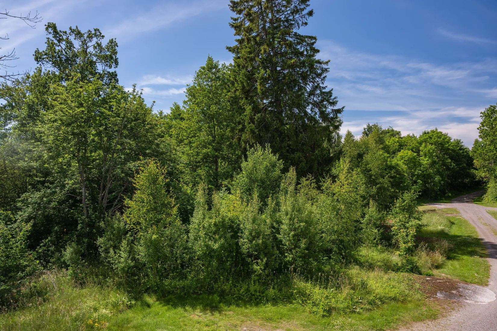 Tomt, Veteklintvägen 4B, Skärblacka, Norrköping