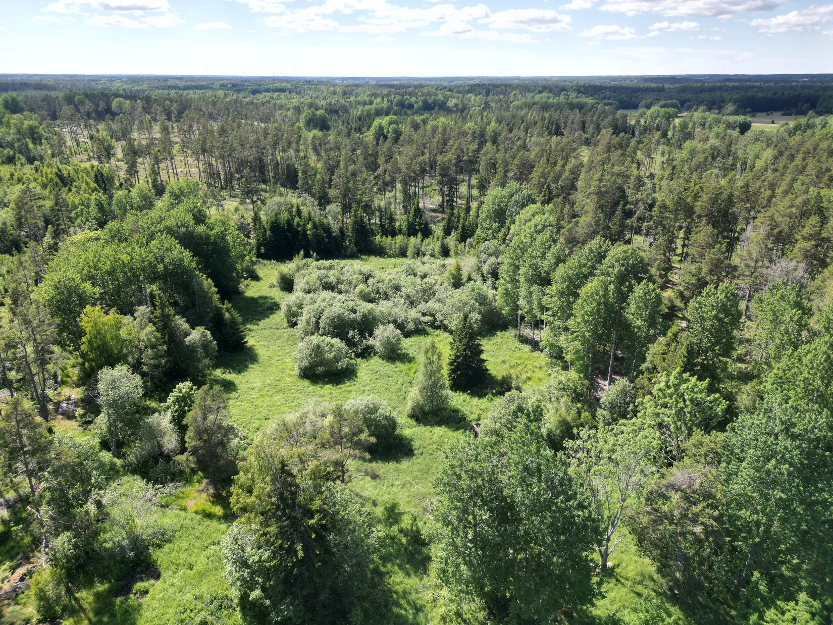 Gård/Skog, Lillrådavägen 25, Roslagen, Norrtälje