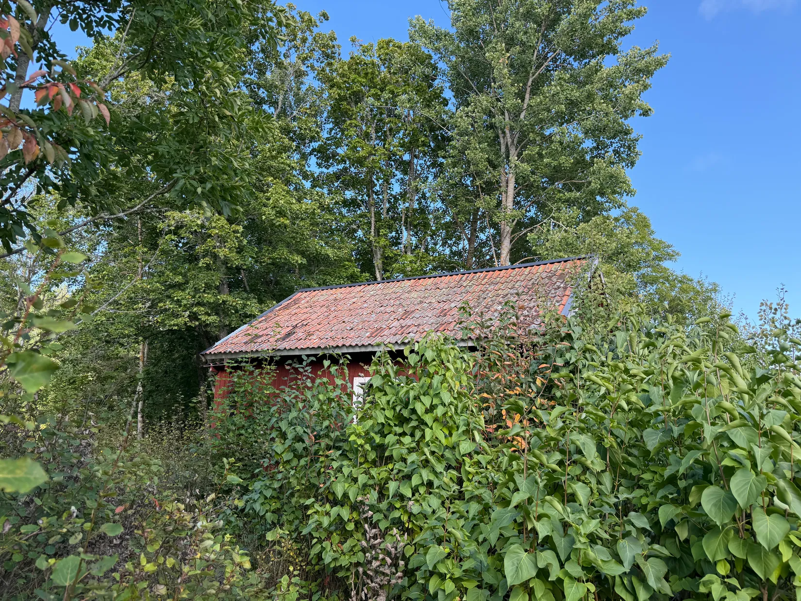 Gård/Skog, Lillrådavägen 25, Roslagen, Norrtälje