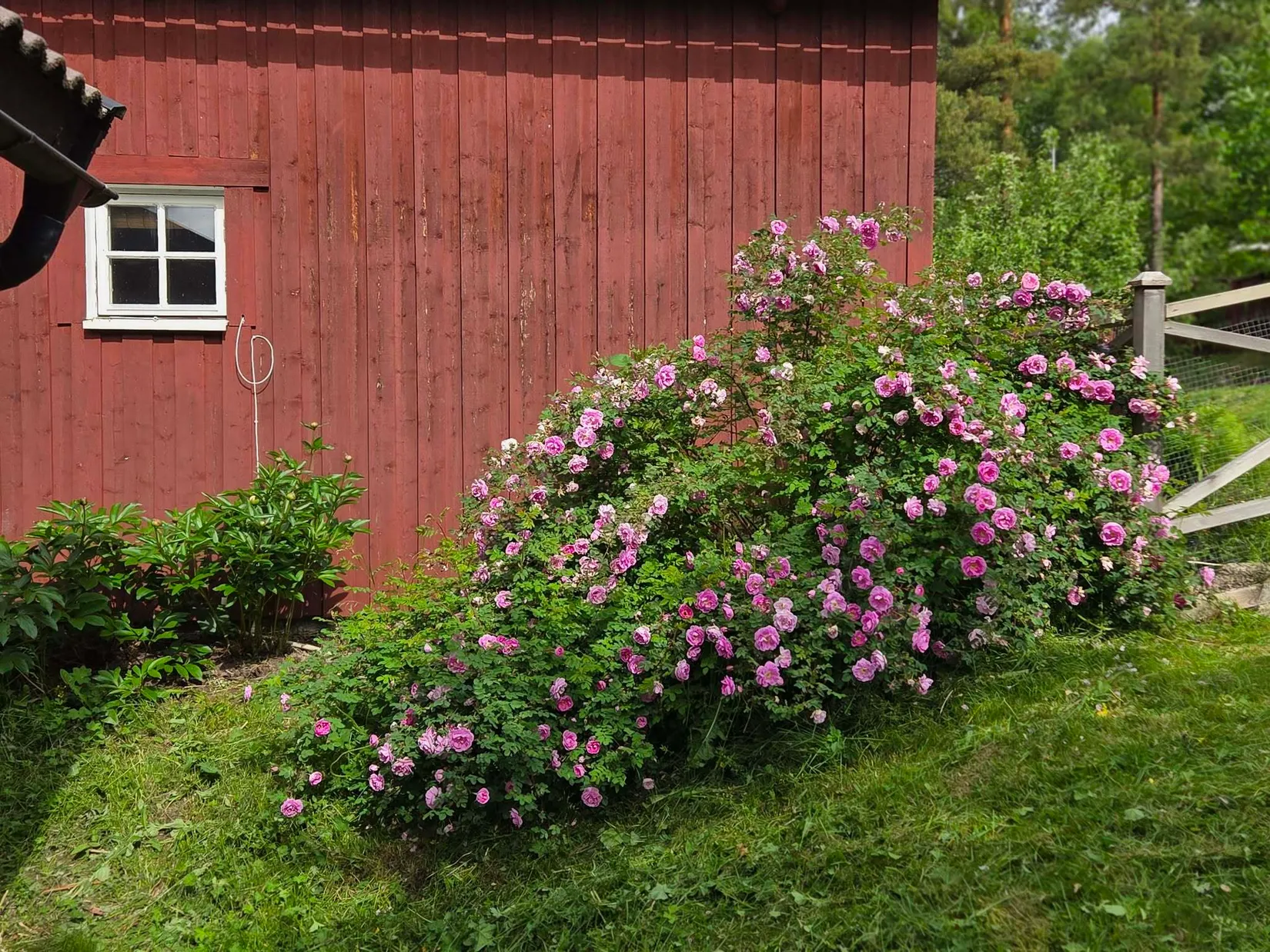 Villa, Gråsala 429, Gråsala, Falun