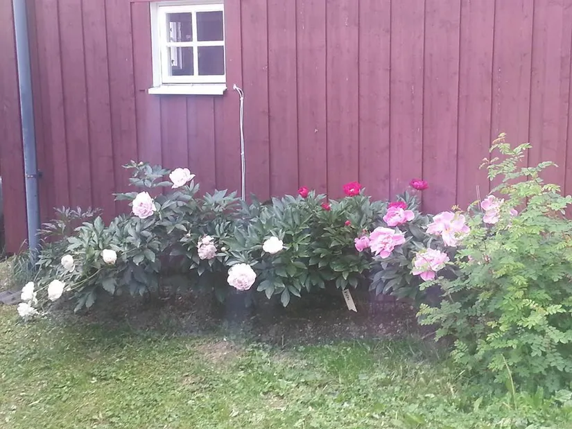 Villa, Gråsala 429, Gråsala, Falun