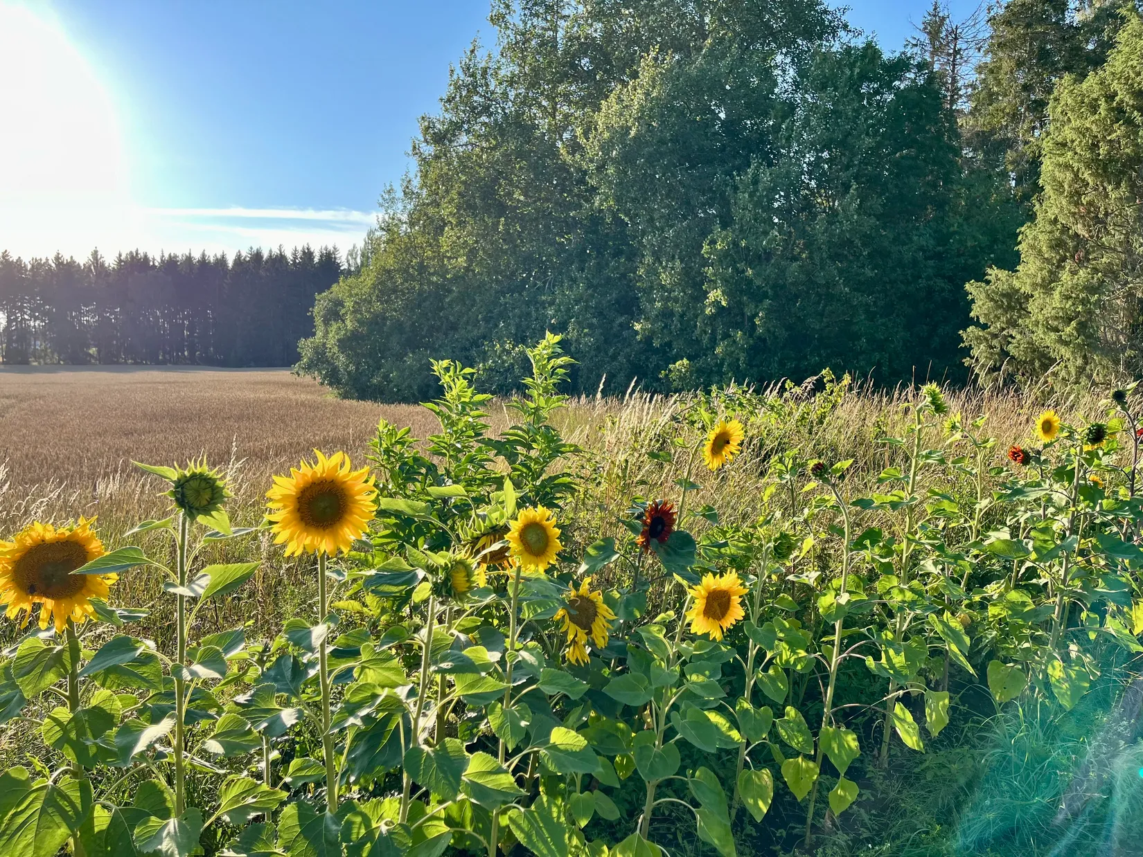 Villa, Litslena-Viggeby 7, Enköping