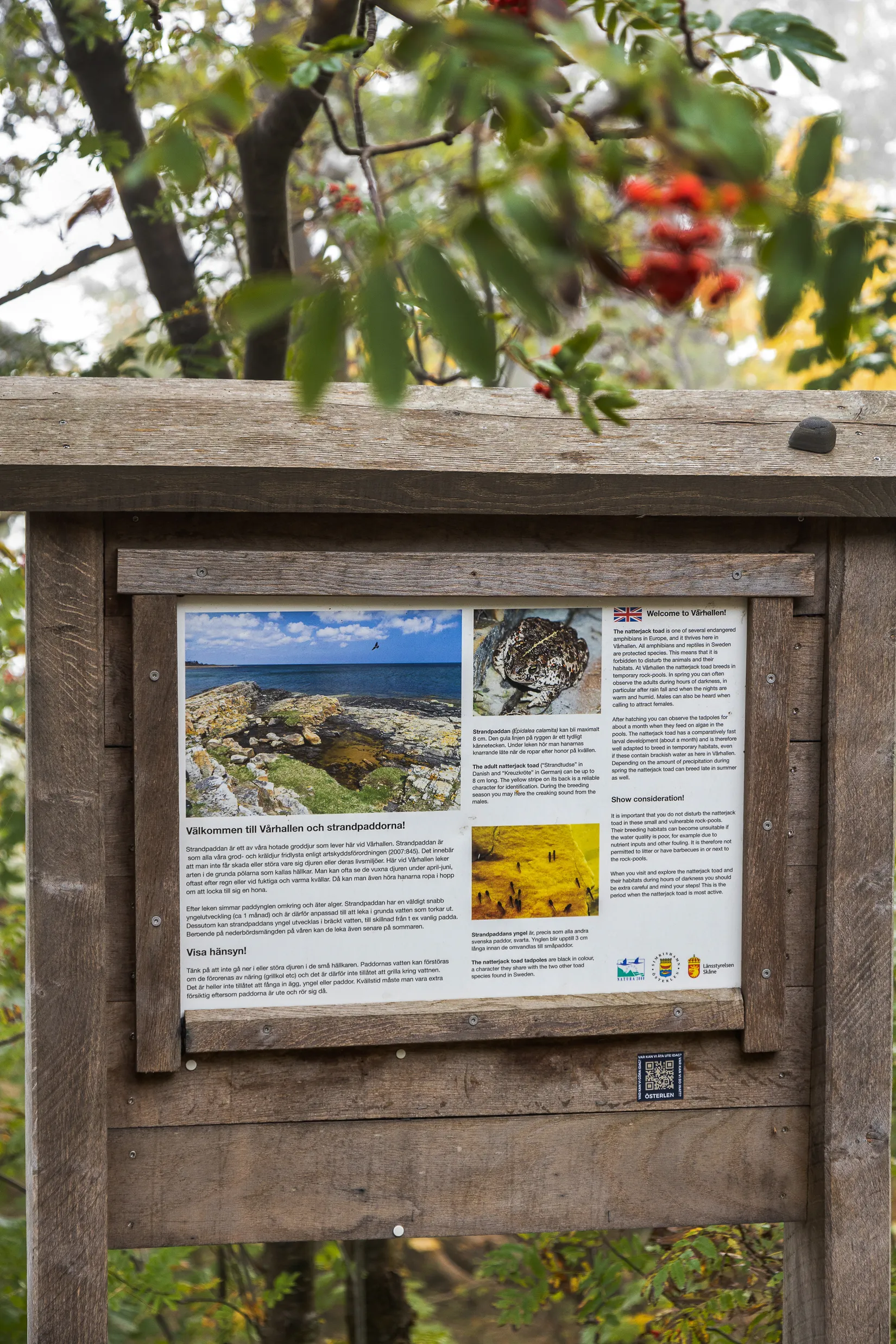 Tomt, Karlstorpsvägen 36, Tobisborg, Simrishamn