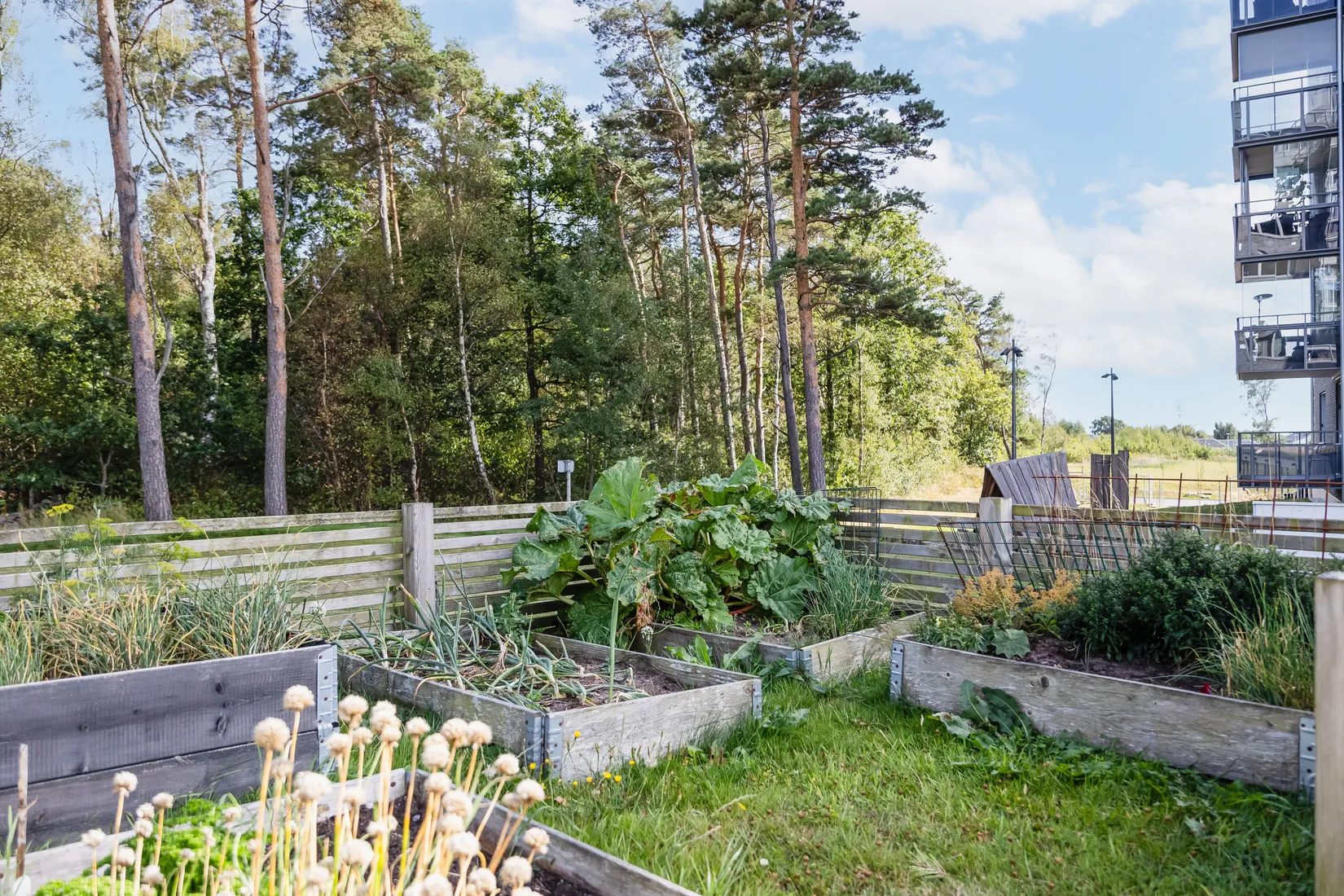 Bostadsrätt, Kornettvägen 26, Tröinge Ängar, Falkenberg