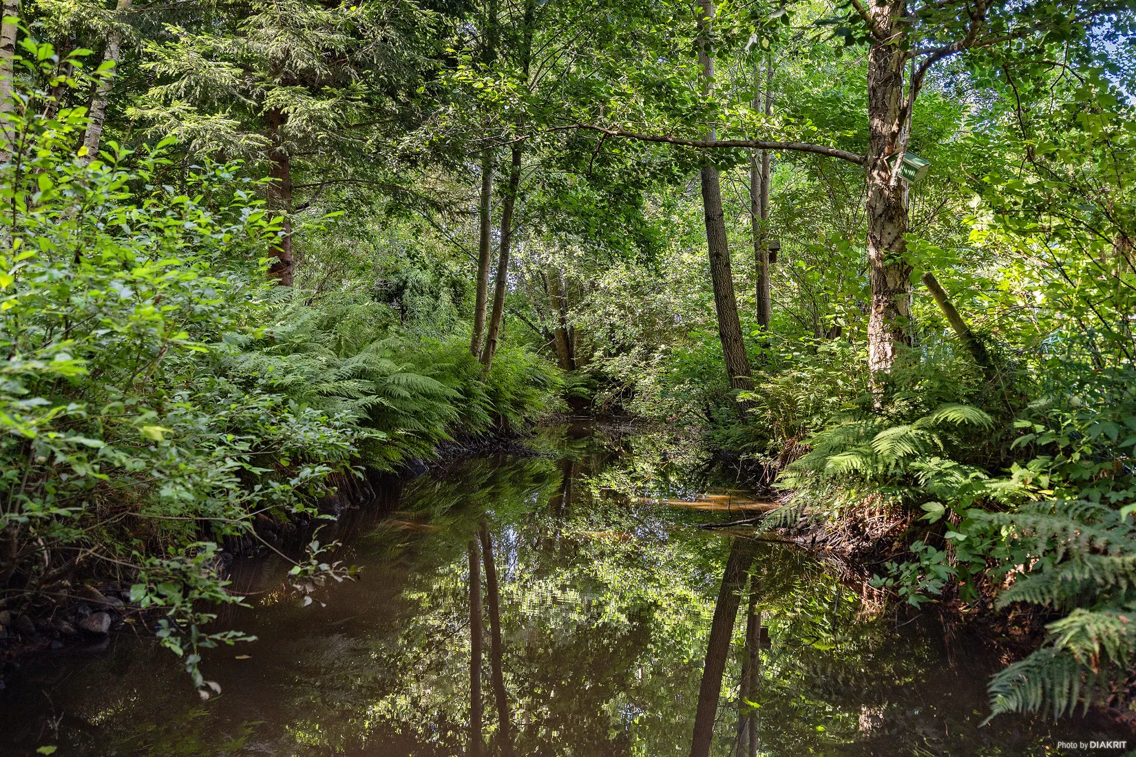 Fritidshus, Kungsvägen 58, Skånes Fagerhult, Örkelljunga