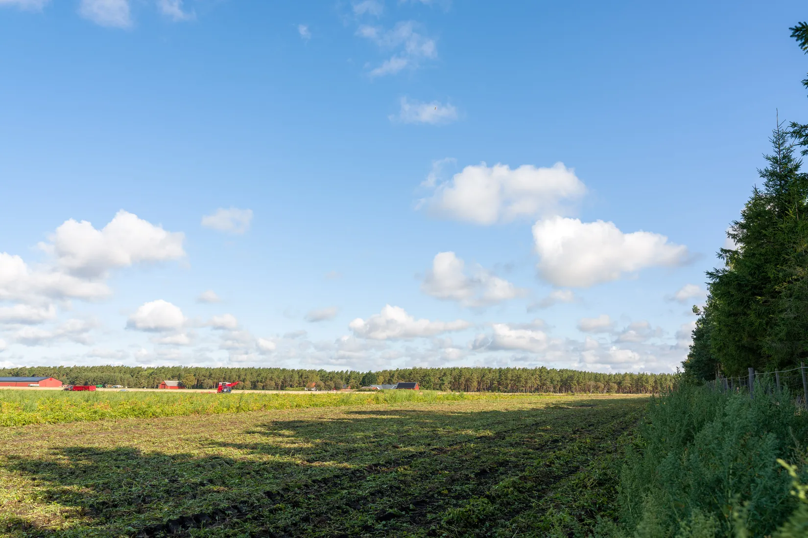 Tomt, Åhultsvägen 259, Kristianstad