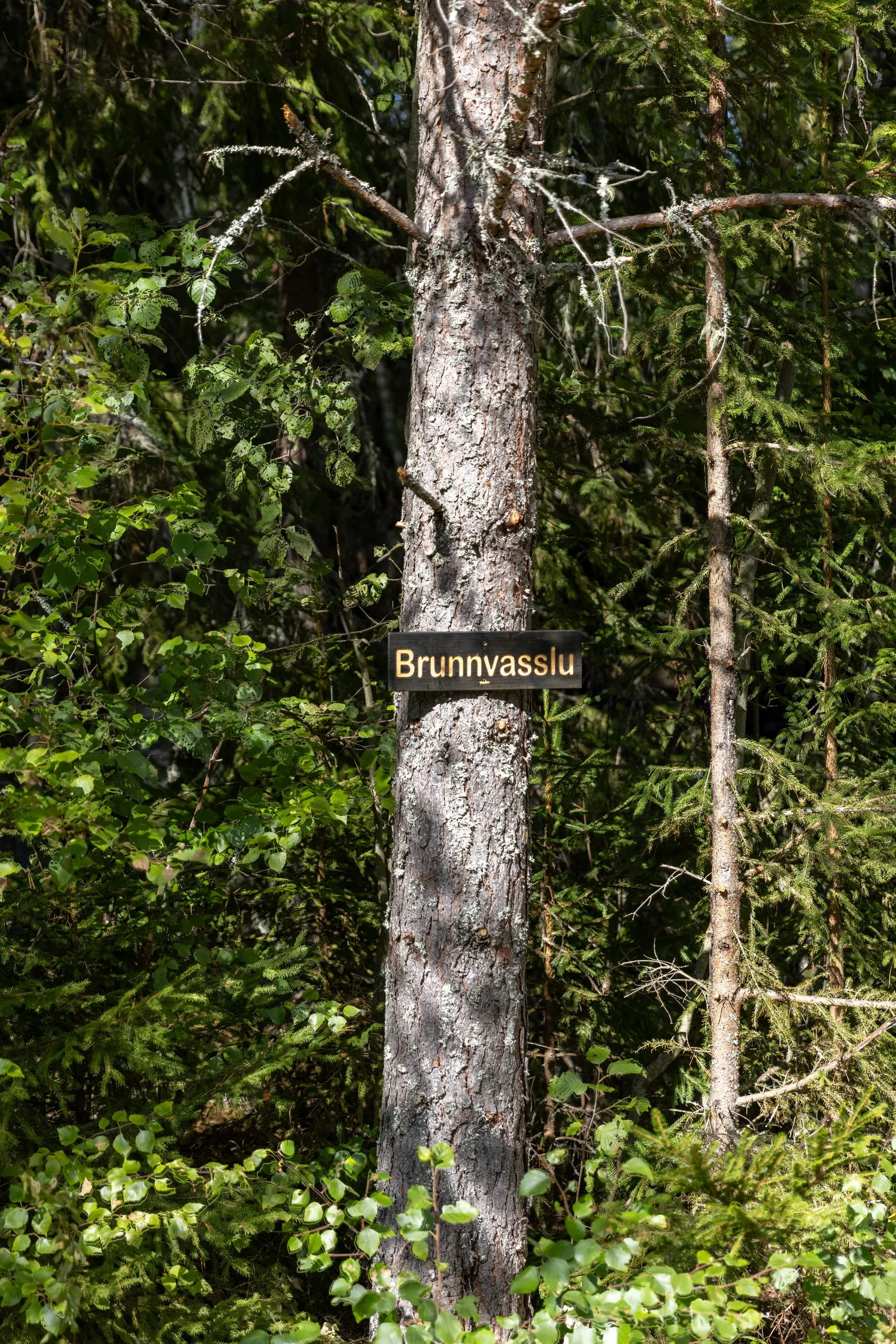 Fritidshus, Fåsås 404, Fåsås, Mora