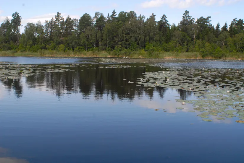 Fritidshus, Råbyvägen 65, Lohärad, Norrtälje