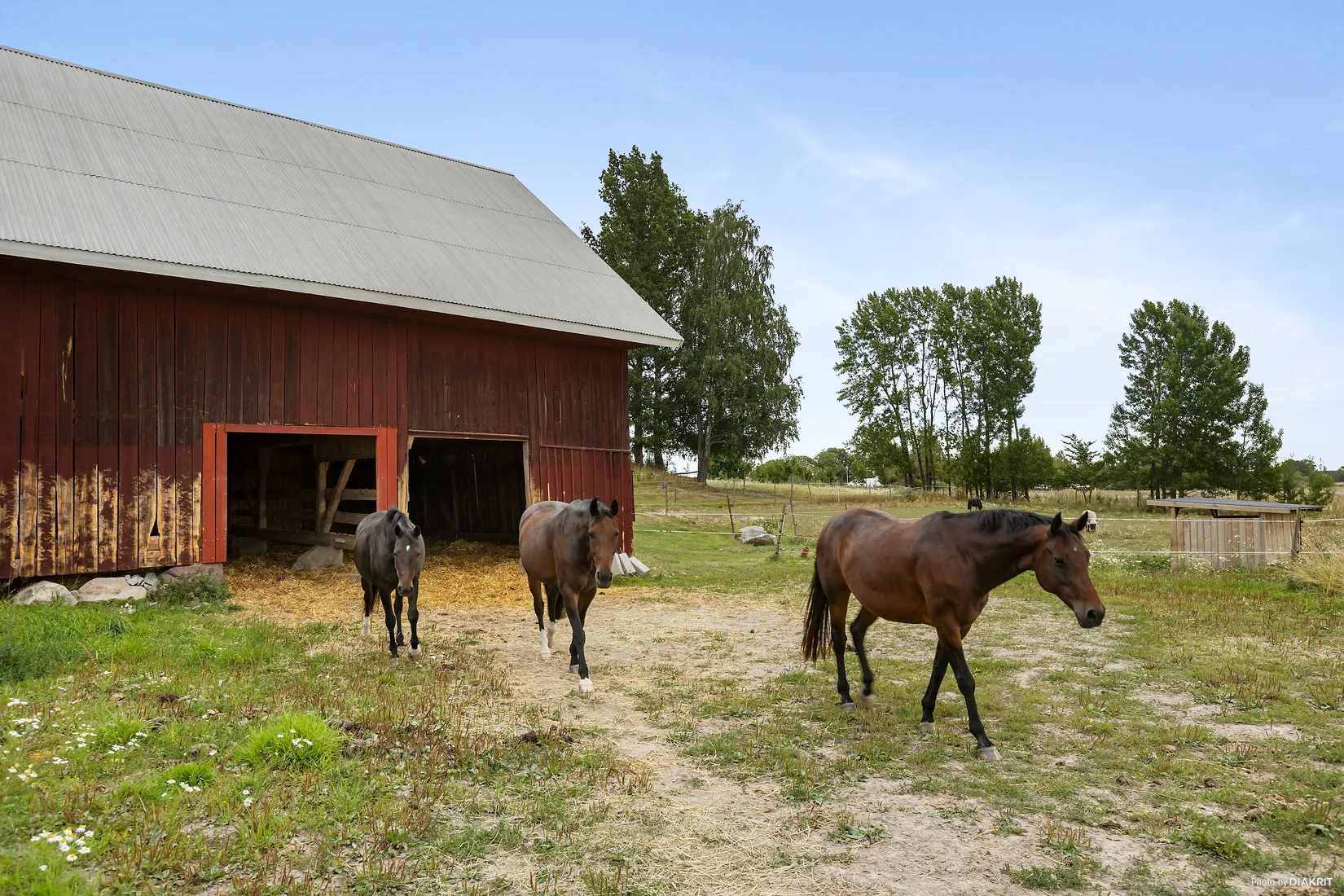 Gård/Skog, Kolja 820 samt 818, Kolja, Örebro