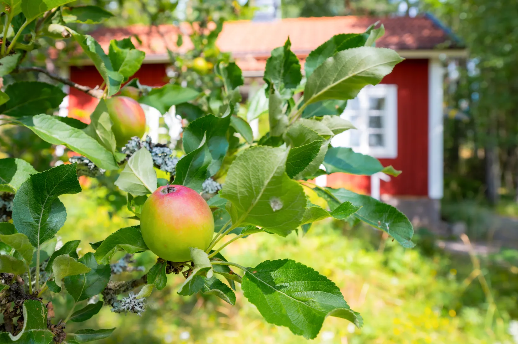 Fritidshus, Linddalen Karlsro 1, Jönåker, Nyköping