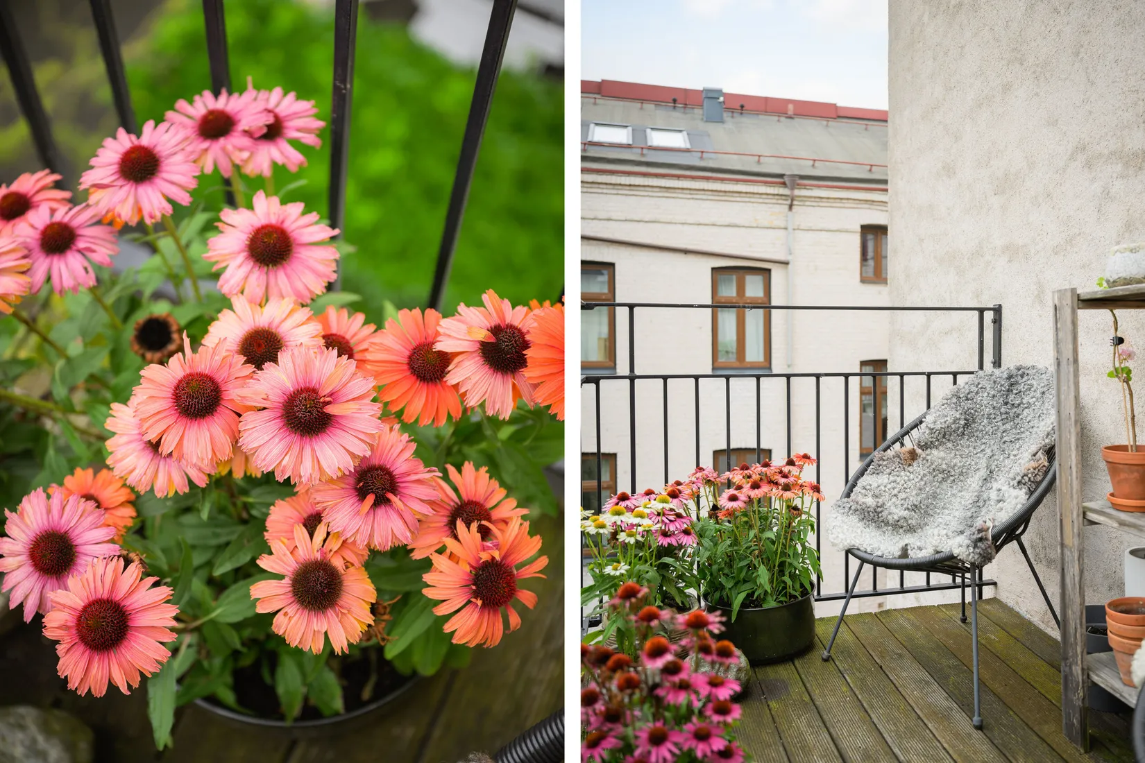 Bostadsrätt, Kommendörsgatan 9A, Rörsjöstaden, Malmö