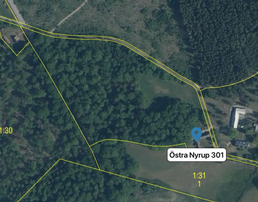 Gård/Skog, Östra Nyrup 301, Höör