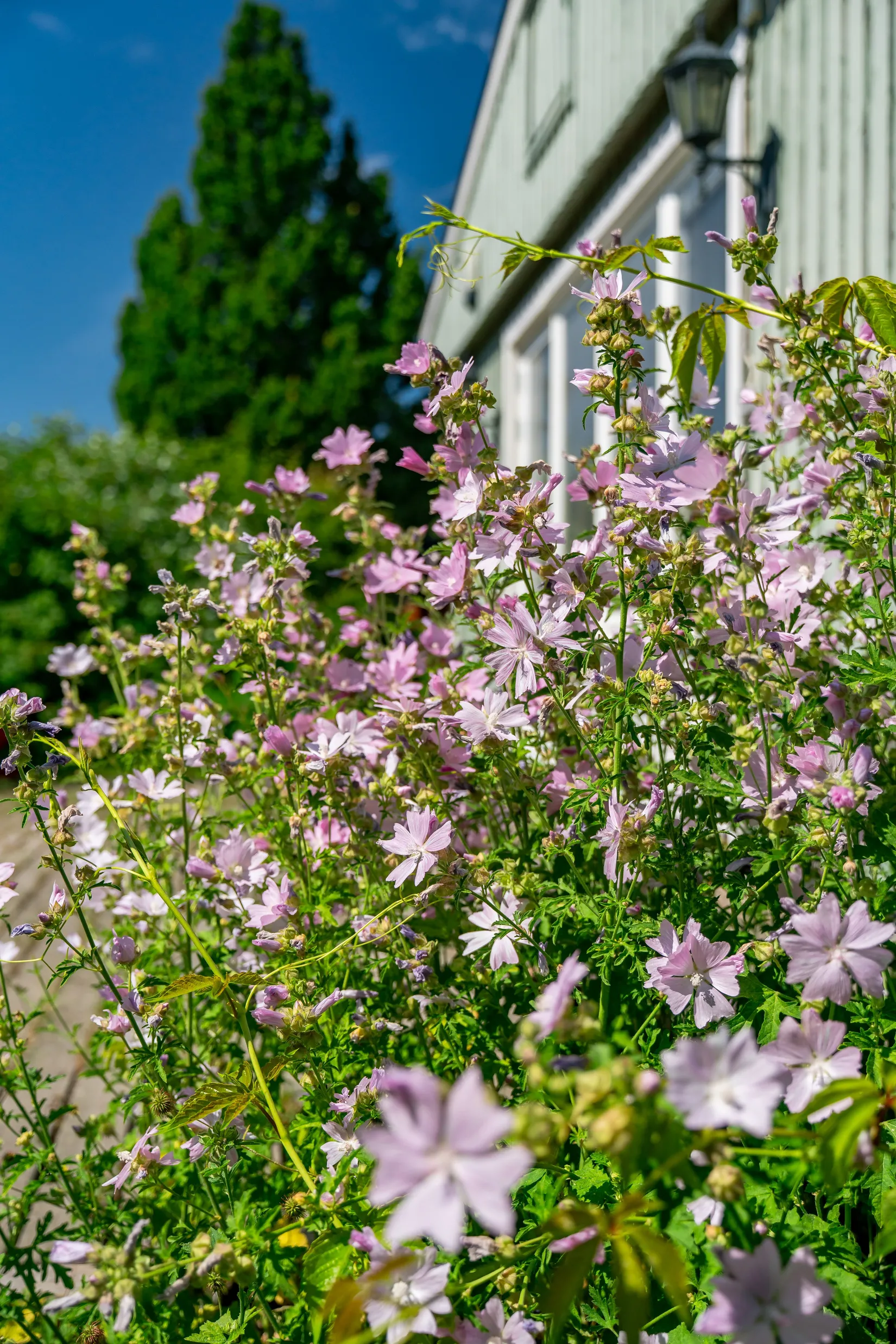 Villa, Torgrims väg 11, Gamla Uppsala, Uppsala