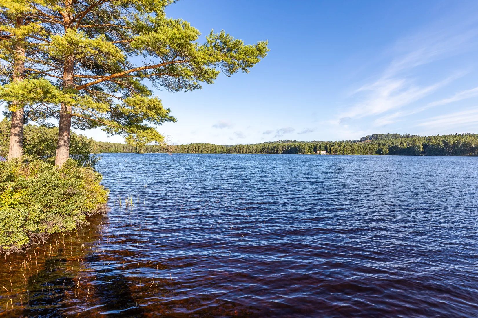 Villa, Börsebo Villa Almestrand 1, Eksjö