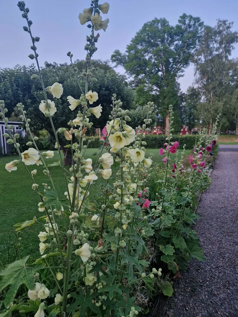 Villa, Liverpoolsgatan 52, Liverpoolsområdet , Motala
