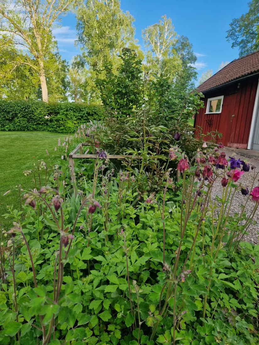 Villa, Liverpoolsgatan 52, Liverpoolsområdet , Motala