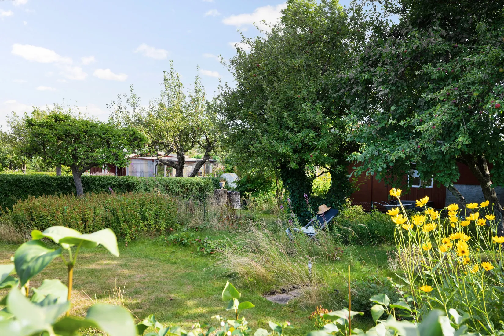 Övrigt, Åragatan Koloniförening Koloni nr 112, Ringstorp, Helsingborg