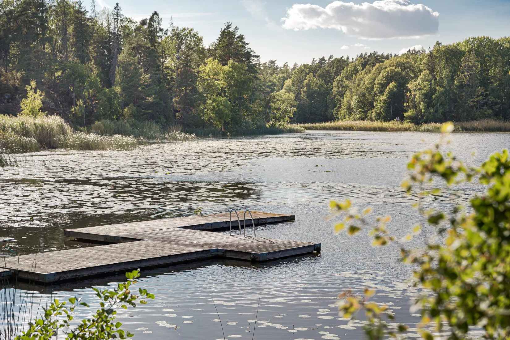 Villa, Fjällbo Selknä 131, Selknä, Uppsala