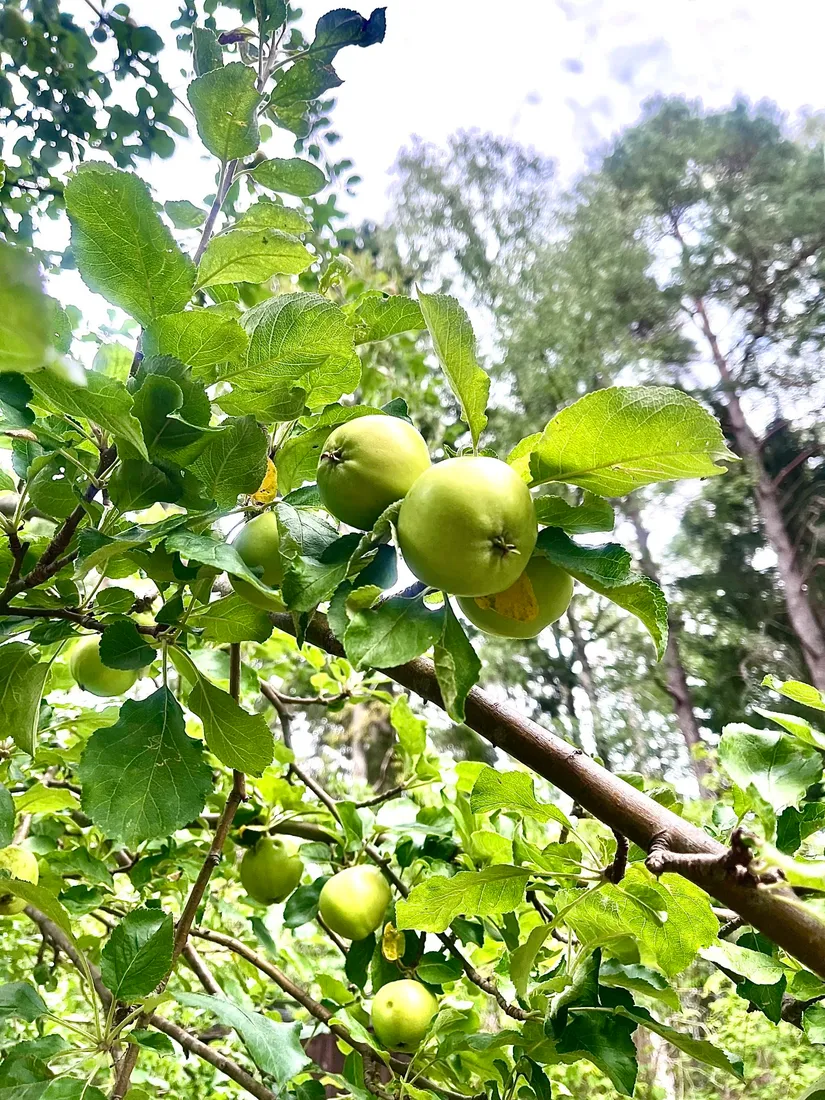 Övrigt, Badbergsstigen 10, Mjölkö, Österåker