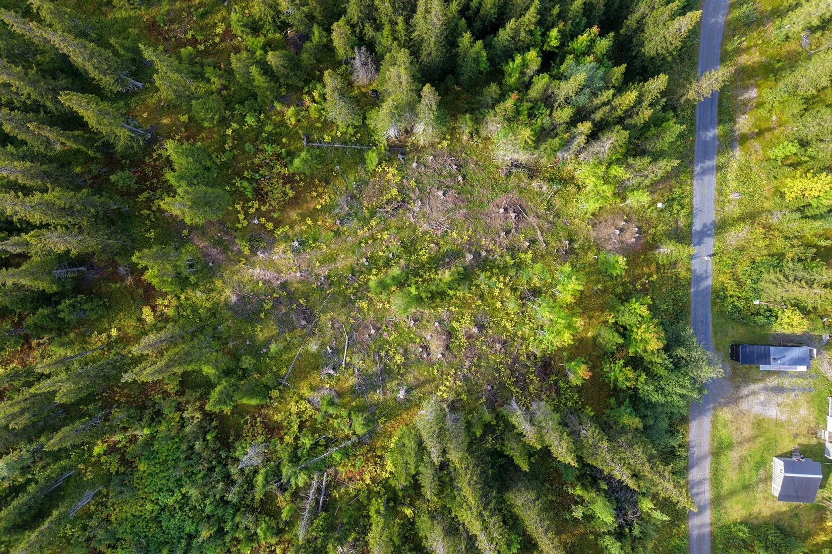 Tomt, Åre Arvesund 2:186, Mårdsundsbodarna, Åre