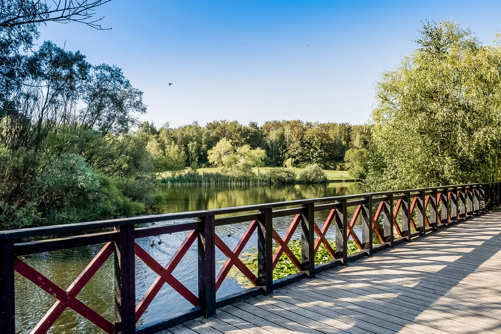 Radhus, Hallongatan 43, Videdal - Husie, Malmö