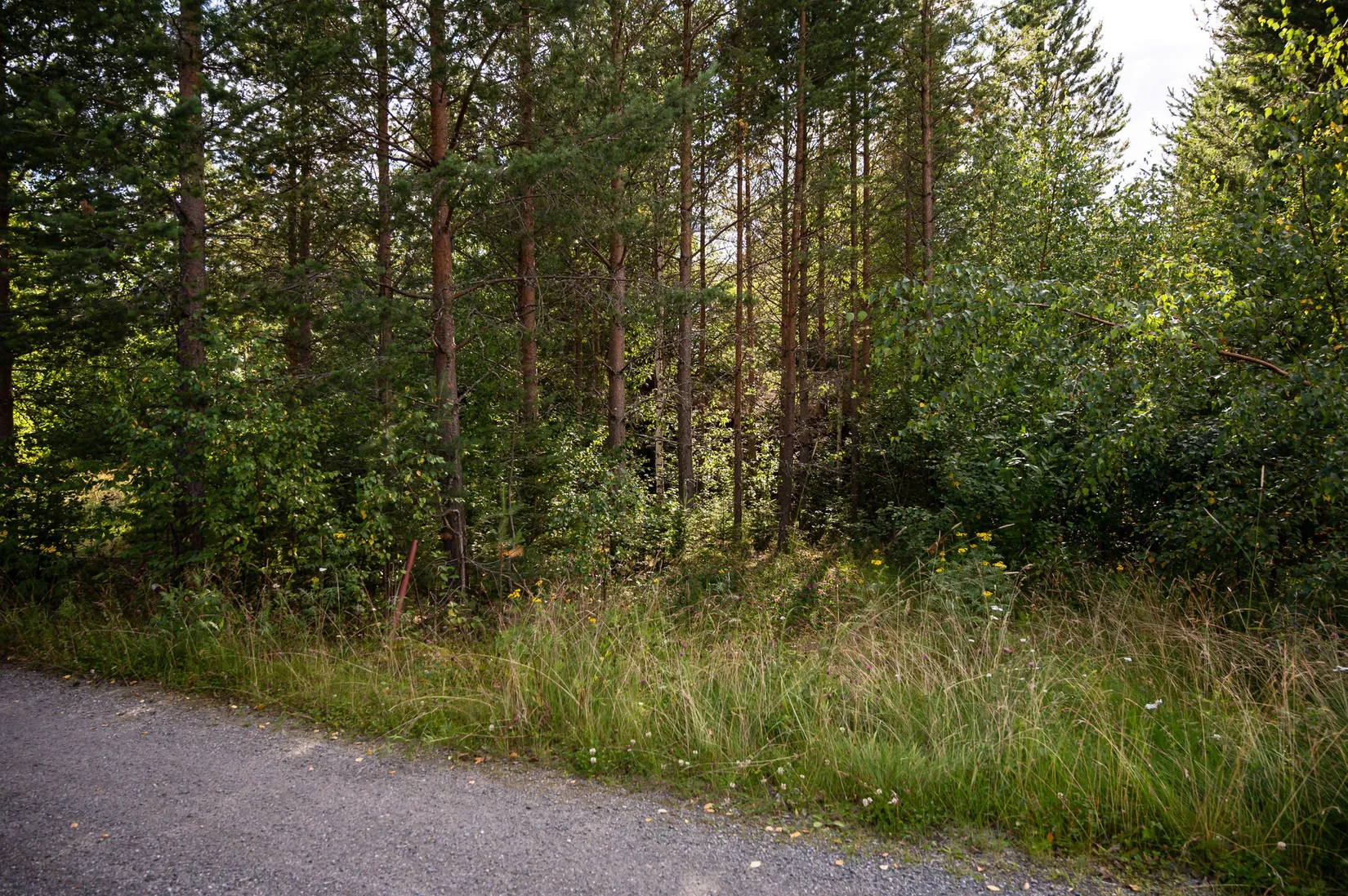 Tomt, Bakgatan 10, Ånge