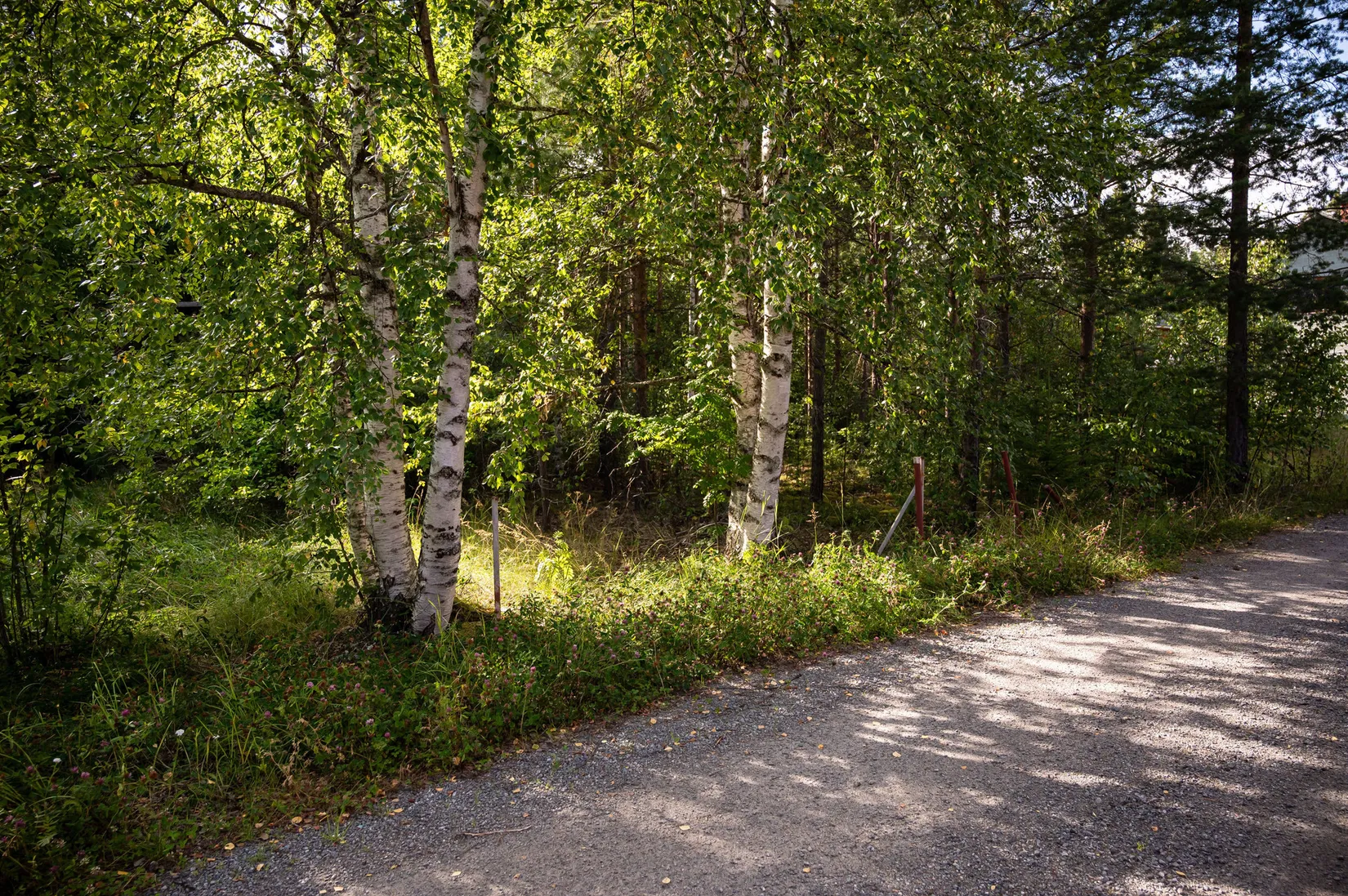 Tomt, Bakgatan 10, Ånge