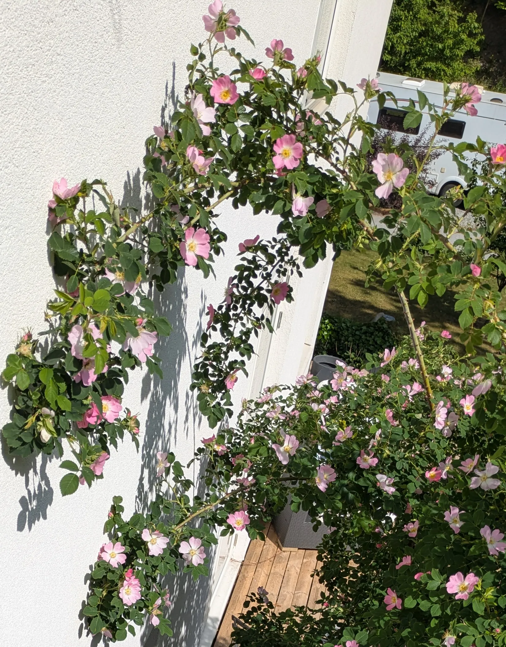 Villa, Fjällbrudens väg 8, Lännersta, Nacka