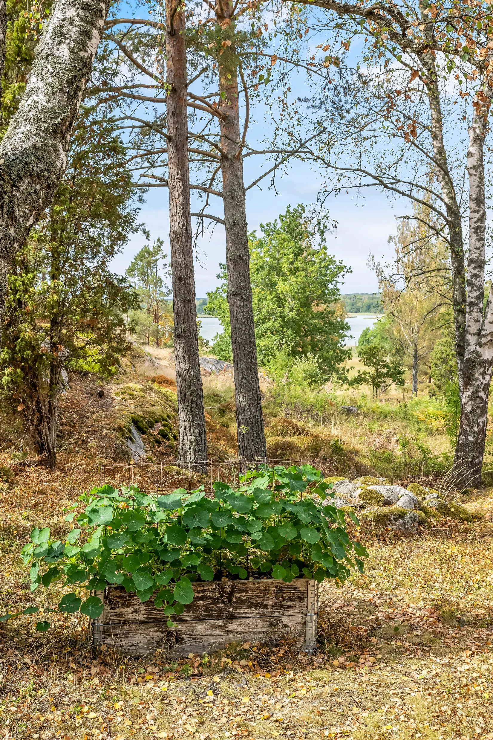 Fritidshus, Bottna Gallnäs 5, Bottna, Söderköping