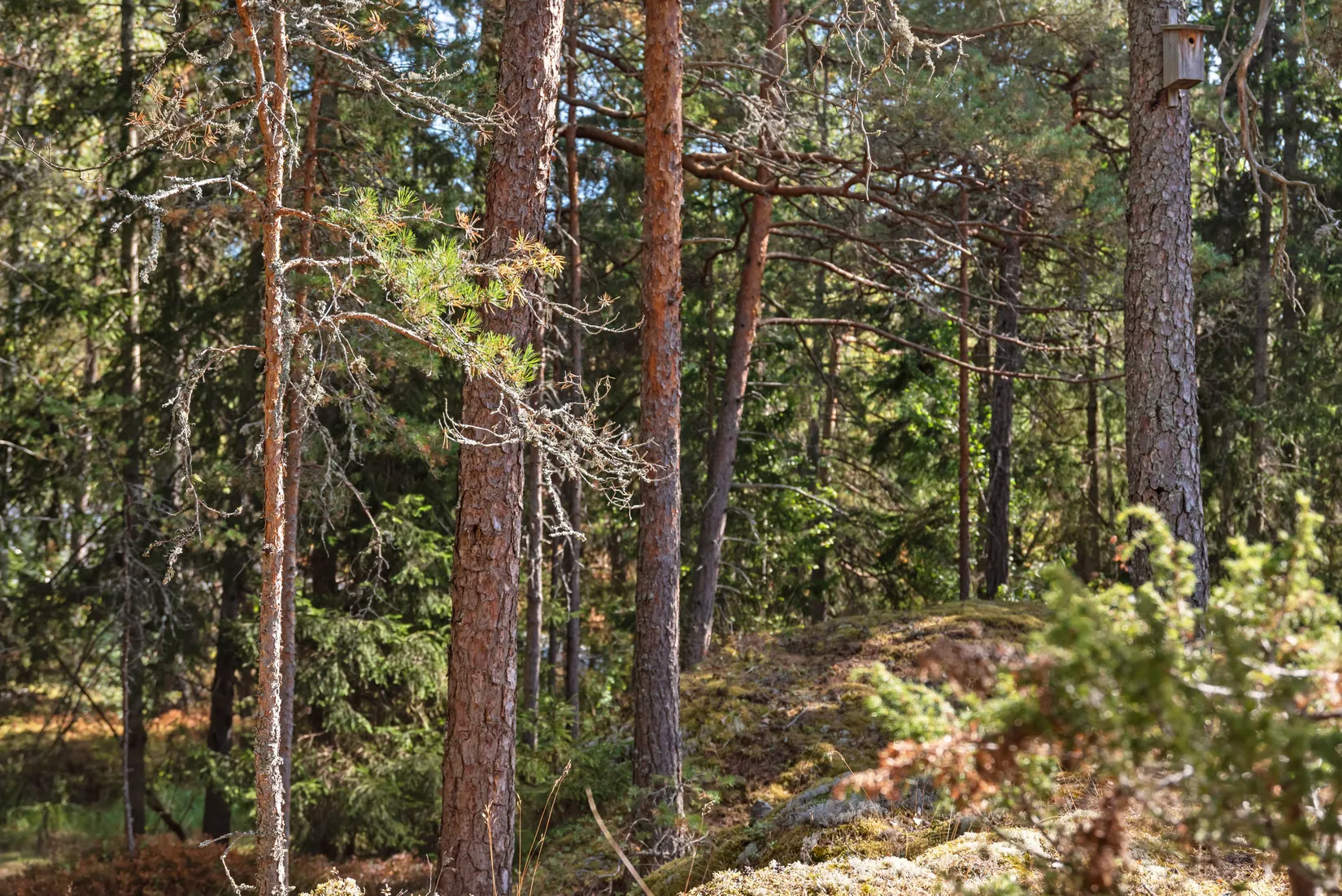 Övrigt, Gistviksvägen 46, Flaxenvik, Österåker
