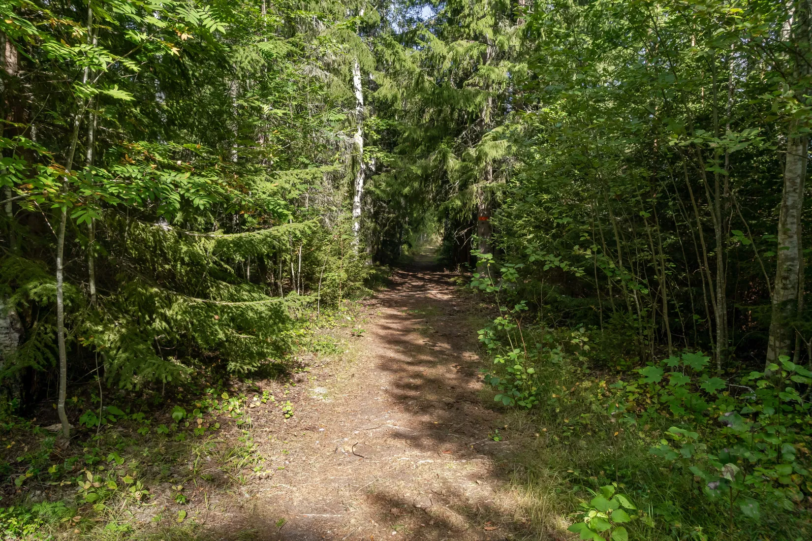 Fritidshus, Hålsjö 428, Hålsjö, Hudiksvall