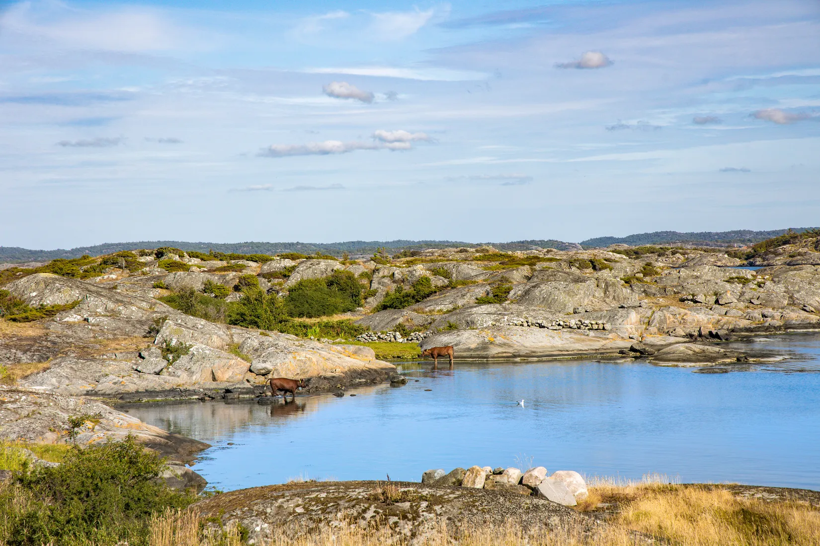 Fritidshus, Klåverön 670, Marstrand, Kungälv