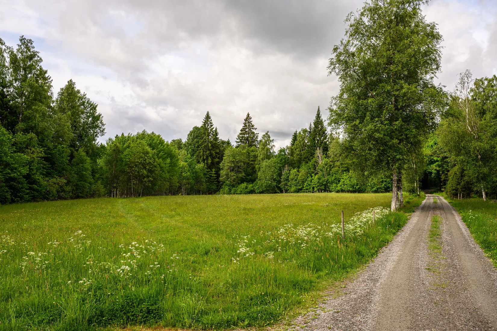 Gård/Skog, Ormesberga Horvet 1, Växjö