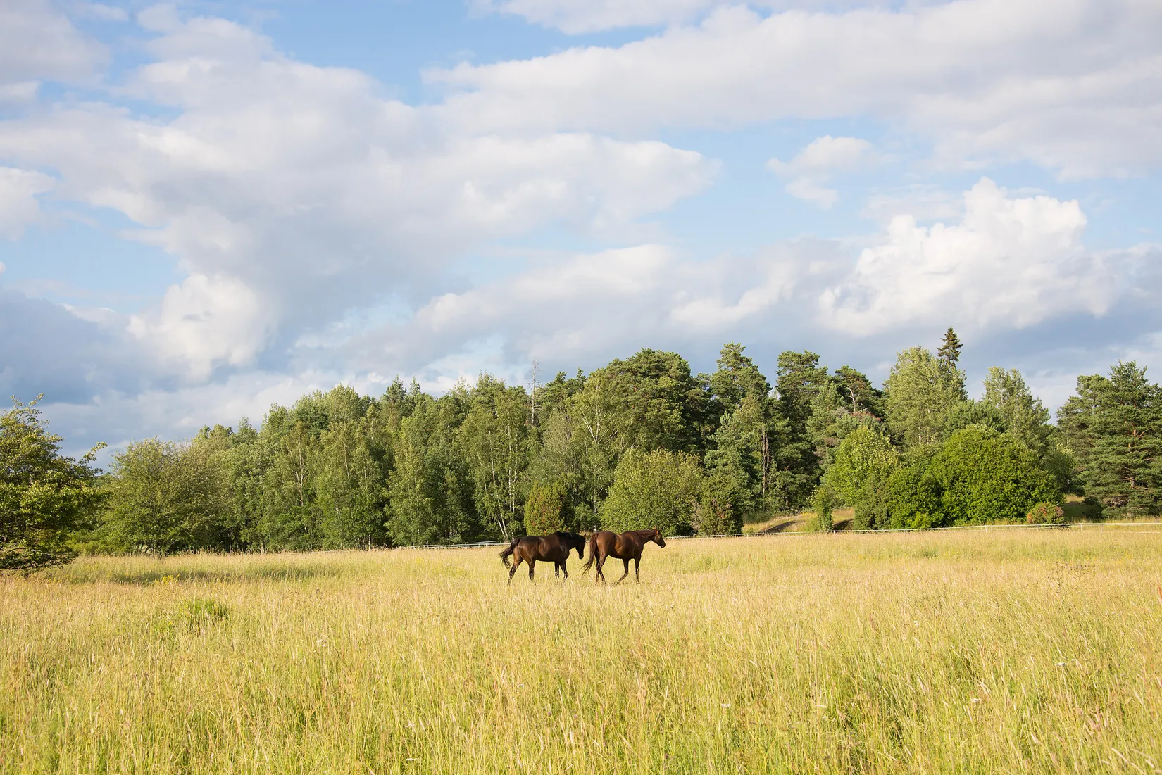 Radhus, Kälkvägen 27B, Valsätra, Uppsala