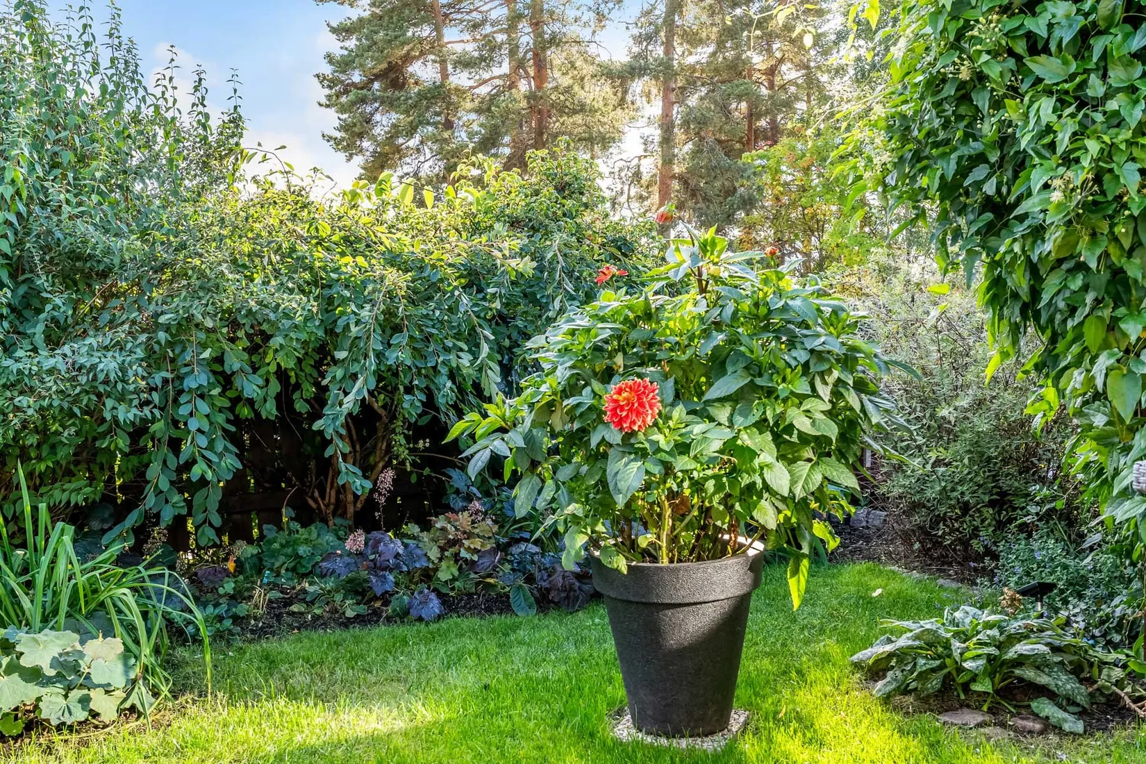 Bostadsrätt, Kungsgårdsvägen 31, Övre Norslund, Falun