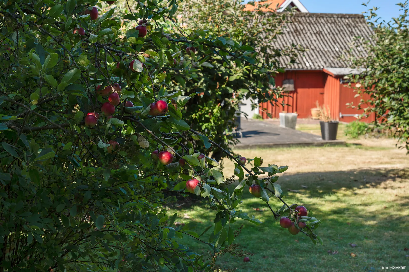 Övrigt, Fiskarstigen 9, Ugglarp, Falkenberg