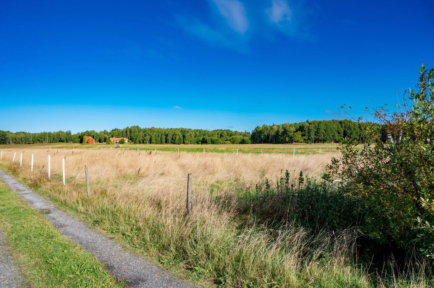 Gård/Skog, Larv Västergården 6, Vara