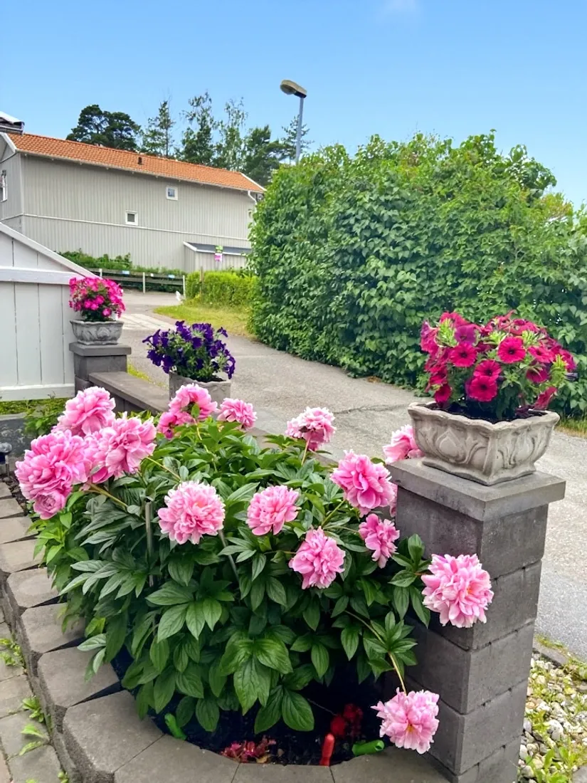 Radhus, Hollandsresan 252, Sävja, Uppsala